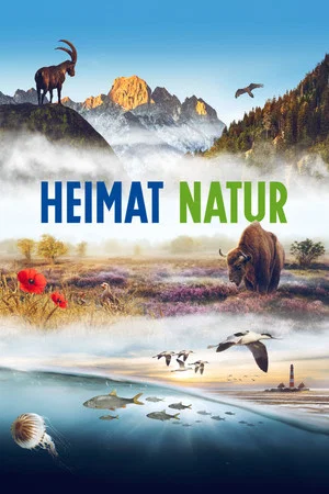 Постер: Homeland Nature