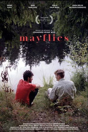 Постер: Mayflies