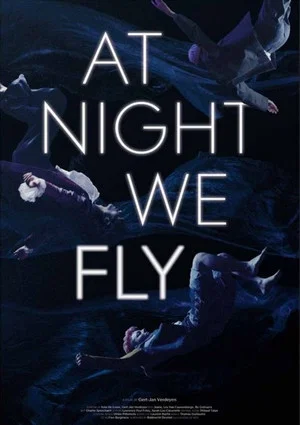 Постер: At Night We Fly