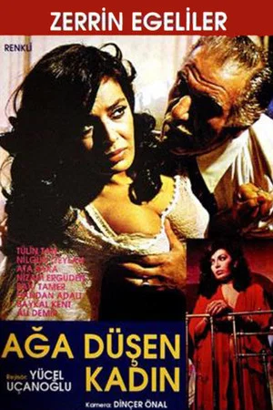 Постер: Ağa Düşen Kadın