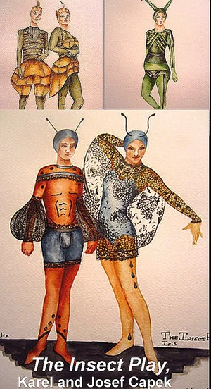Постер: The Insect Play