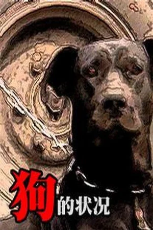 Постер: The Condition of Dogs