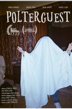 Постер: Polterguest
