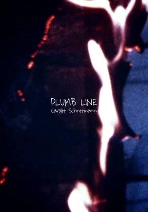 Постер: Plumb Line
