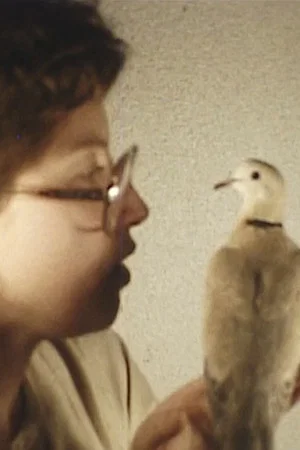 Постер: Bird