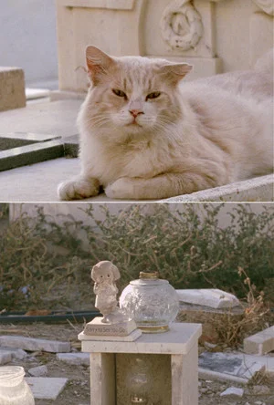 Постер: Sorry to See You Go