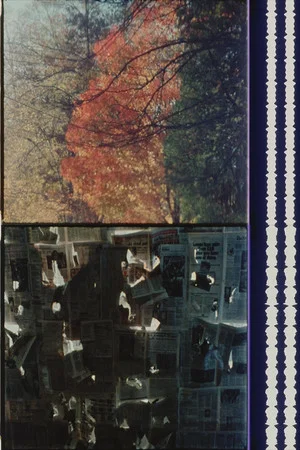 Постер: Cheap Imitations Part V/VI: Terms of Analysis