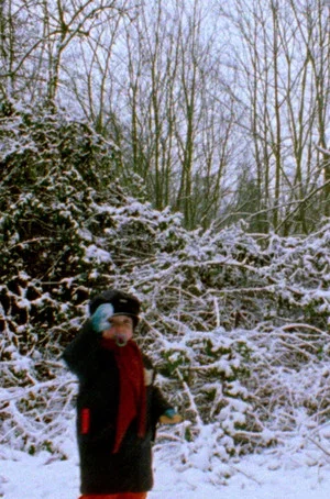 Постер: Snowflakes