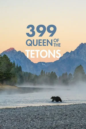 Постер: Grizzly 399: Queen of the Tetons