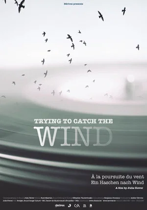 Постер: Trying to Catch the Wind