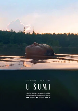 Постер: In the Woods