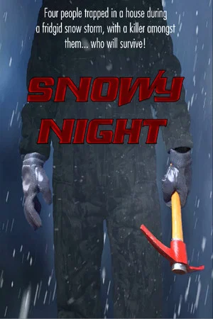 Постер: Snowy Night