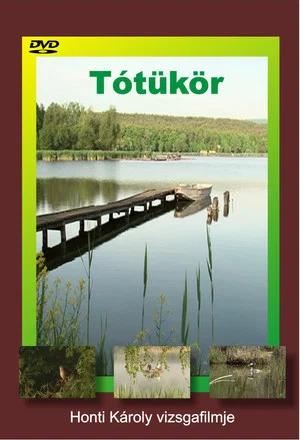 Постер: Tótükör