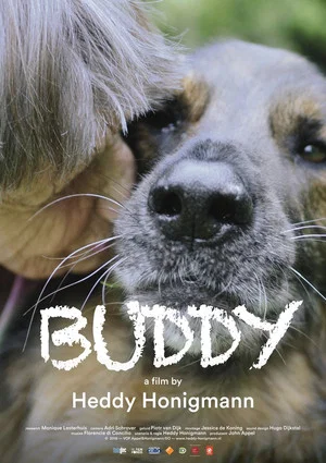 Постер: Buddy