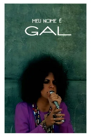 Постер: My Name is Gal