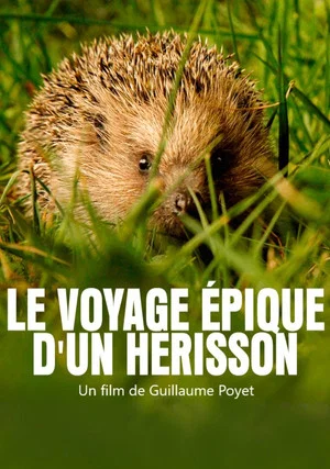 Постер: Le voyage épique d'un hérisson