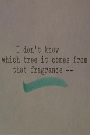 Постер: I Don't Know Which Tree It Comes From that Fragrance