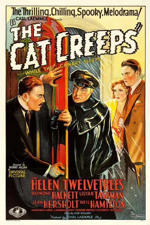 Постер: The Cat Creeps
