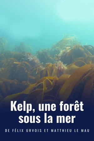 Постер: Kelp, une forêt sous la mer