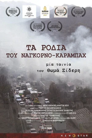 Постер: The Pomegranates of Nagorno Karabakh