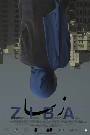 Постер: Ziba