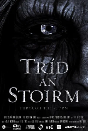 Постер: Through the Storm