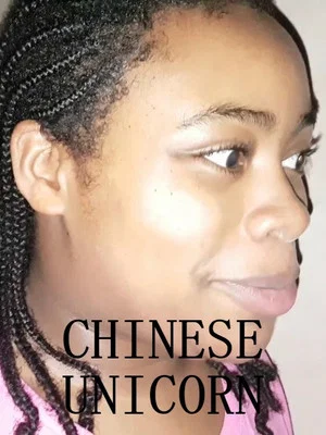 Постер: Chinese Unicorn