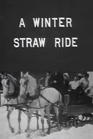 Постер: A Winter Straw Ride