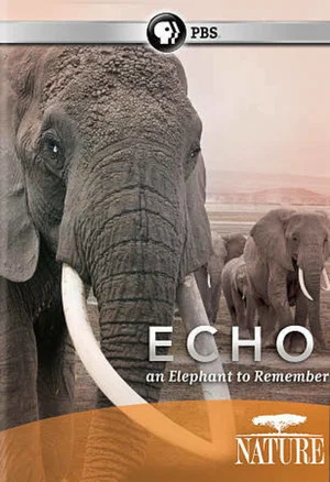 Постер: Echo: An Elephant to Remember