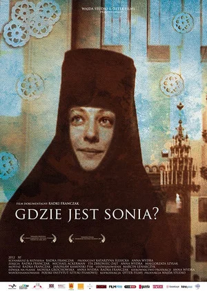 Постер: Losing Sonia
