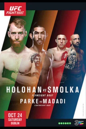 Постер: UFC Fight Night 76: Holohan vs. Smolka