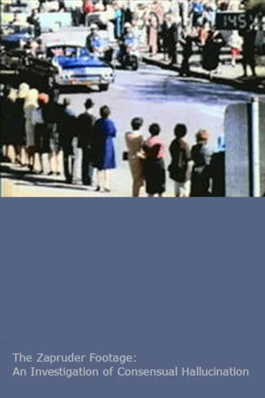 Постер: The Zapruder Footage: An Investigation of Consensual Hallucination