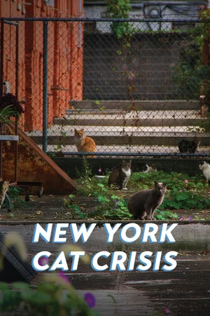 Постер: New York Cat Crisis