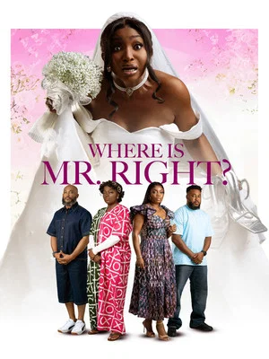 Постер: Where is Mr Right