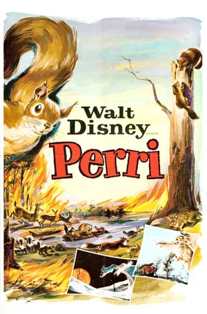 Постер: Perri