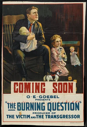 Постер: The Burning Question