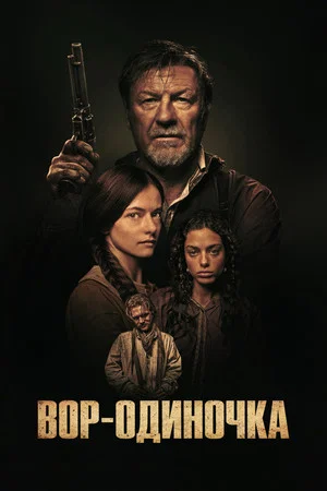 Постер: Вор-одиночка