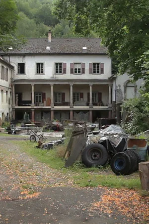 Постер: The House