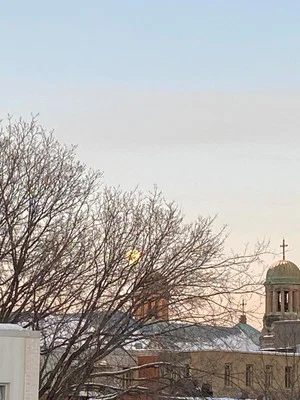 Постер: February Crazies