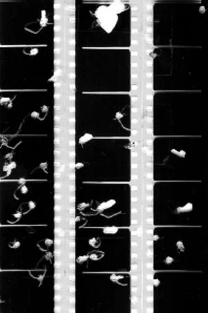 Постер: Shot Film