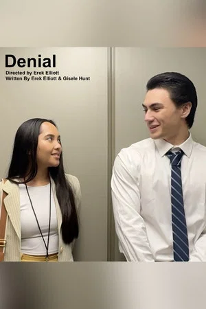 Постер: Denial