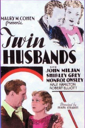 Постер: Twin Husbands