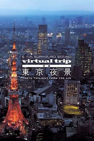 Постер: Virtual Trip: Tokyo Twilight from the Air