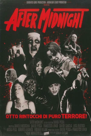 Постер: After Midnight