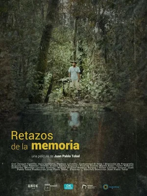 Постер: Remnants of memory