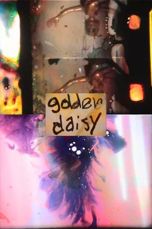 Постер: Golden Daisy