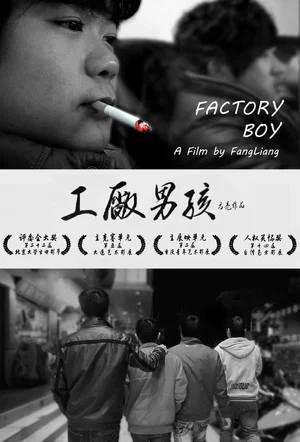 Постер: Factory Boy