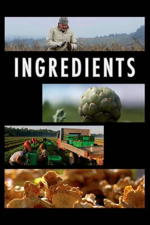Постер: Ingredients