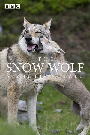 Постер: The Snow Wolf: A Winter's Tale