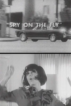 Постер: Spy on the Fly